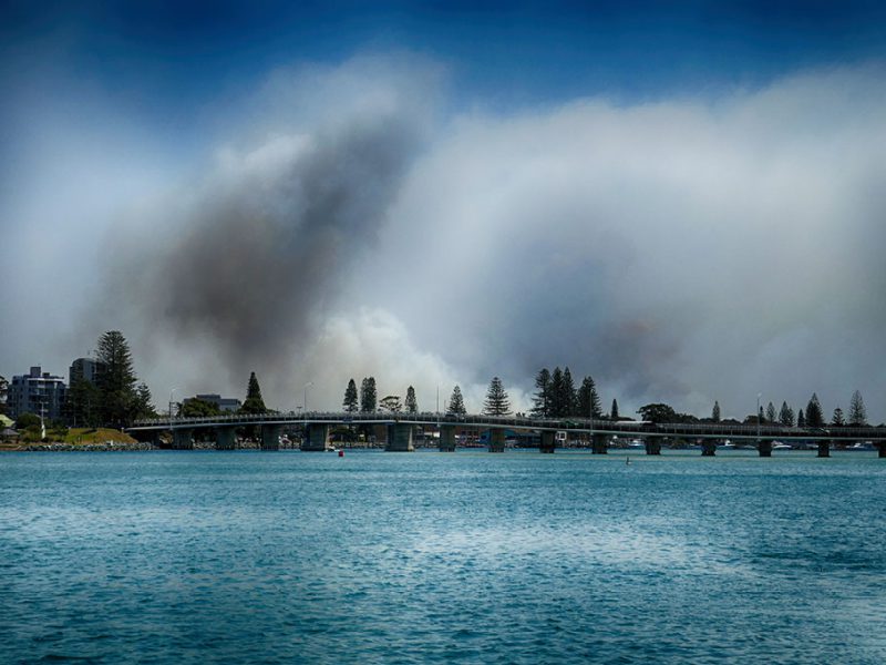 November 2019 Bush Fires November 2019 Bush Fires