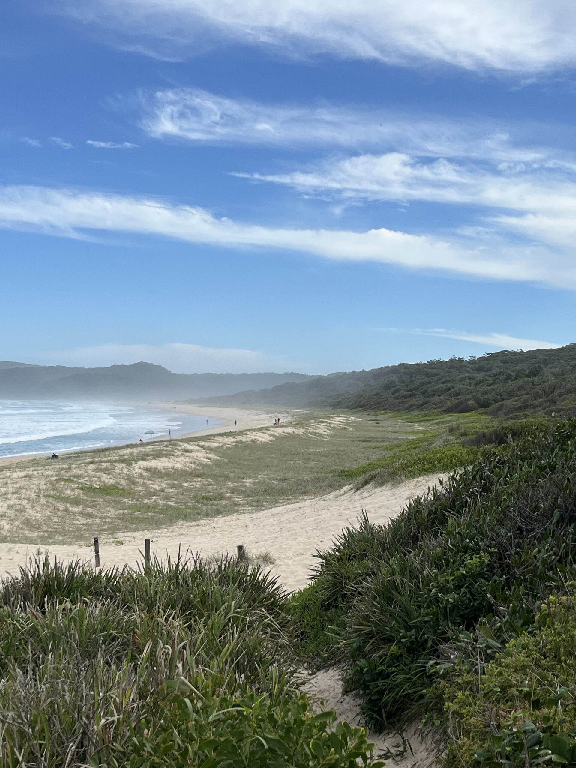 Discover Cellito Rainforest Boardwalk – A Hidden Gem for Surfers and ...