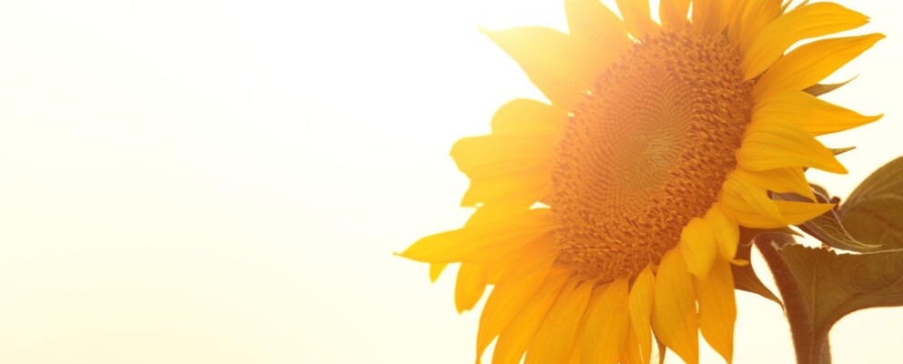 Sun, Sand & a Spring Stay Surprise