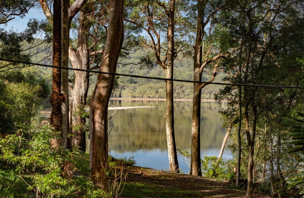 Winter in Pacific Palms - Araluen - View